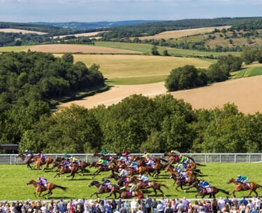 Glorious goodwood: the qatar goodwood festival hospitality 18 Goodwood Qatar Hospitality DIRECT 1.jpg?w=375&h=304&scale