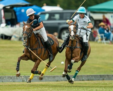 Stonehenge polo festival: vip polo hospitality 7 20250705 Stonehenge Festival Day 1 18 scaled.jpg?w=375&h=304&scale