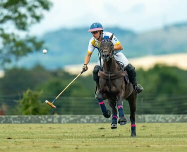 Stonehenge polo festival: vip polo hospitality 16 Stonehenge Polo Festival 10.jpg?w=375&h=304&scale