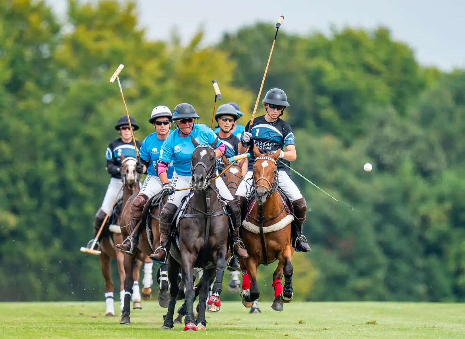 Stonehenge Polo Festival VIP polo hospitality