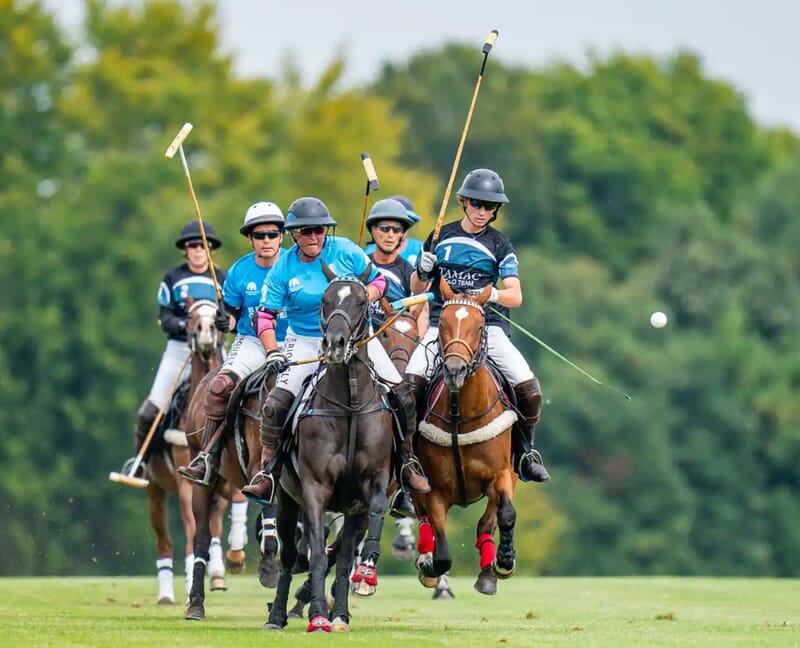 Stonehenge polo festival: vip polo hospitality 5 Stonehenge Polo Festival VIP polo hospitality