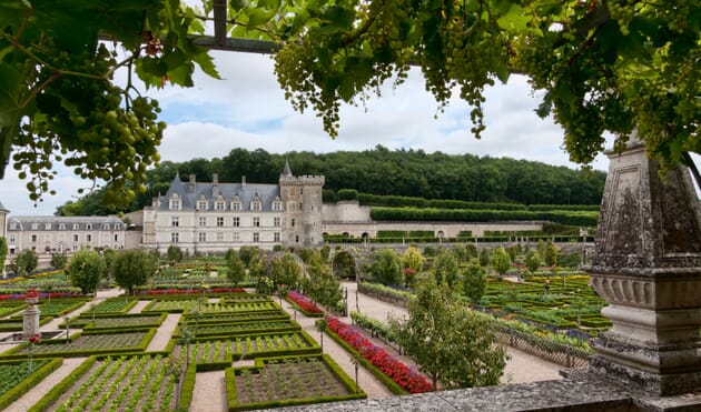 2 nights in the loire valley with chateau and wine tour 6 Loire Valley 1.jpg?w=630&h=371&scale