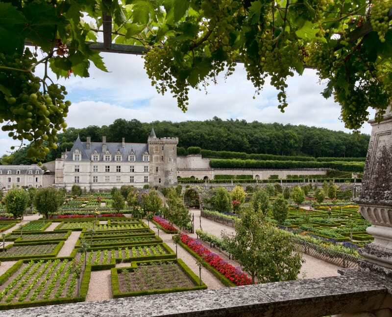 2 nights in the loire valley with chateau and wine tour 5 Loire Valley 1.jpg?w=800&h=648&scale