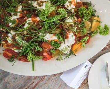 Goodwood festival of speed hospitality 33 Goodwood Festival Of Speed Hospitality DIRECT Kennels 1.jpg?w=375&h=304&scale