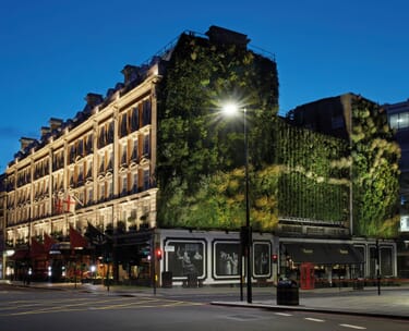 Vip london theatre break 10 The Living Wall at The Rubens scaled.jpg?w=375&h=304&scale