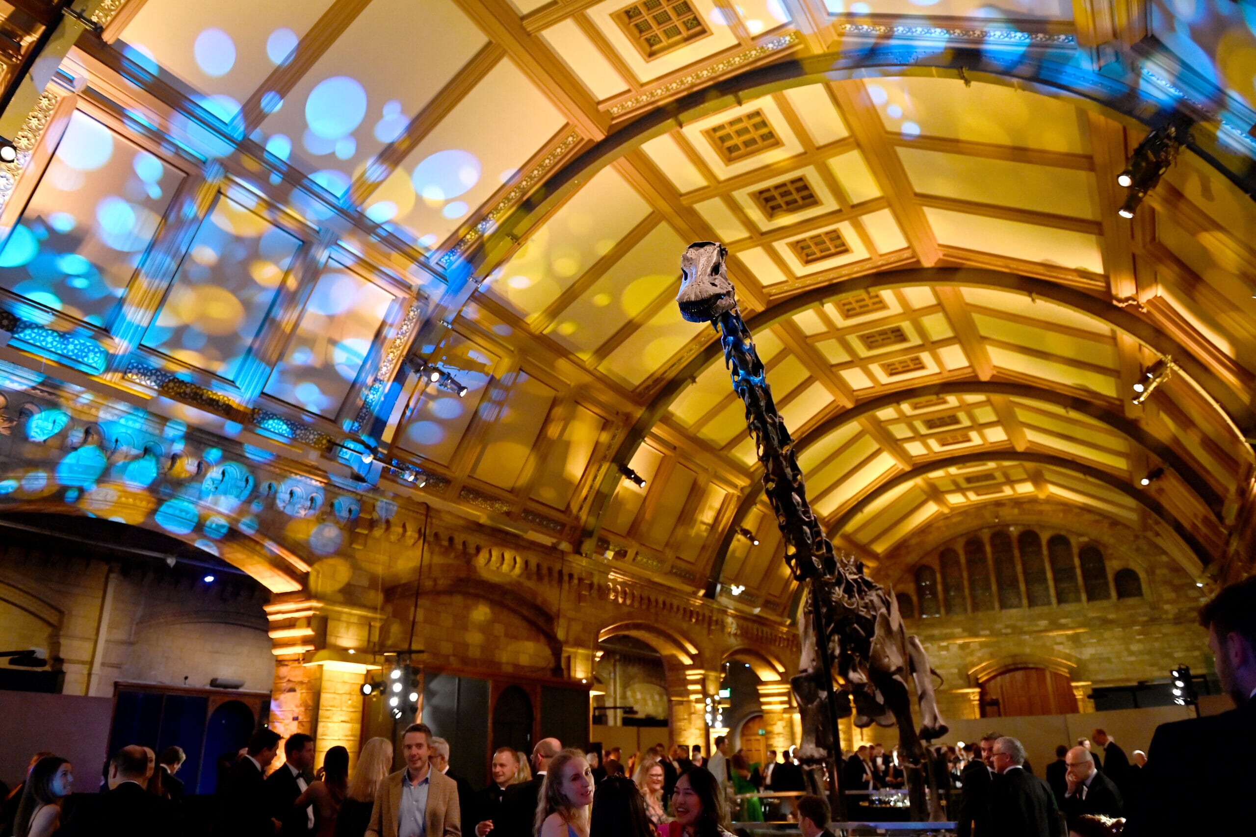 Bespoke client event Awards Evening: Natural History Museum