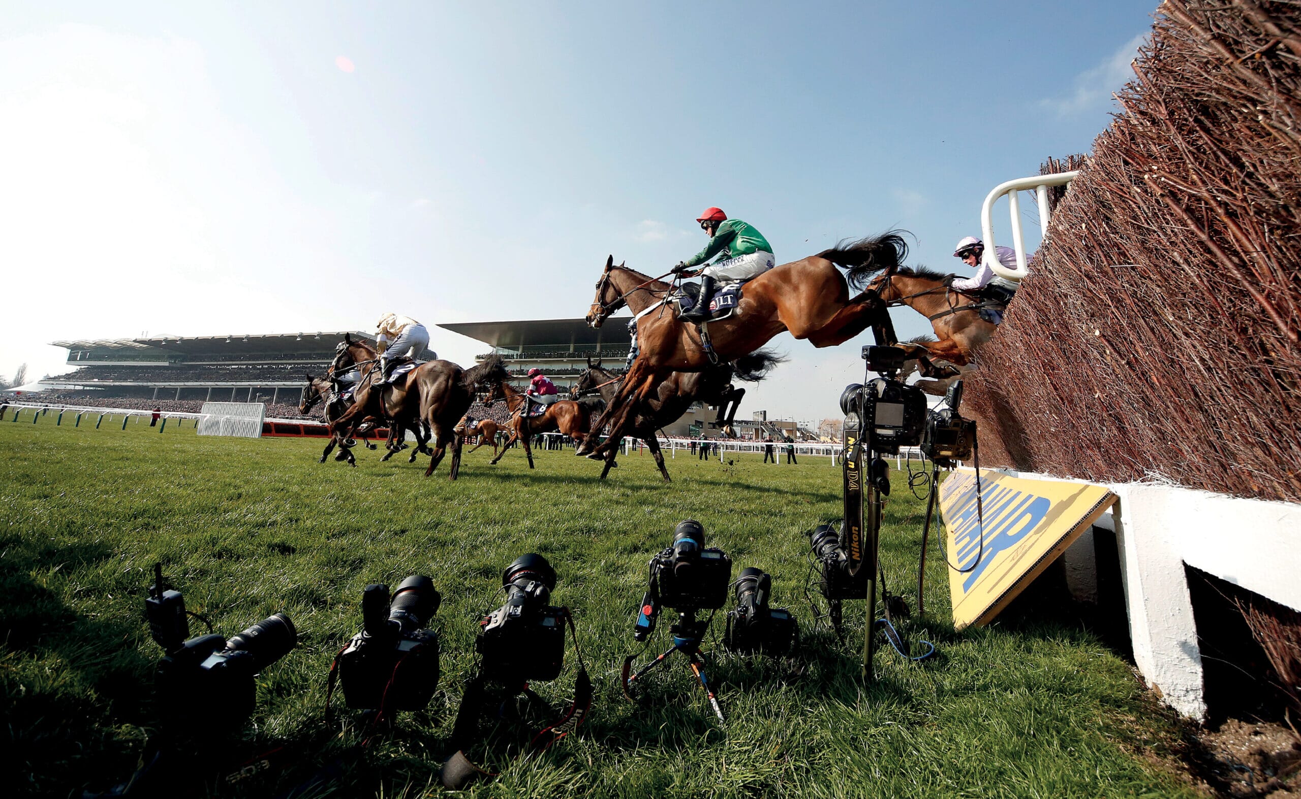 CheltenhamRacingImage.jpg?w=1287&h=758&scale