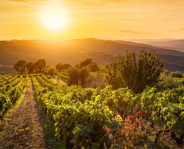 7 nights in tuscan villa 9 Canva stock Image tuscany 4.jpg?w=375&h=304&scale