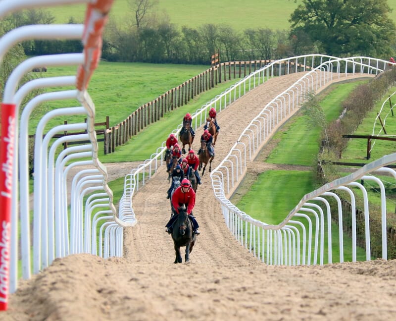 Horse Racing: VIP Behind the Scenes Stables Experience | Gala Hospitality