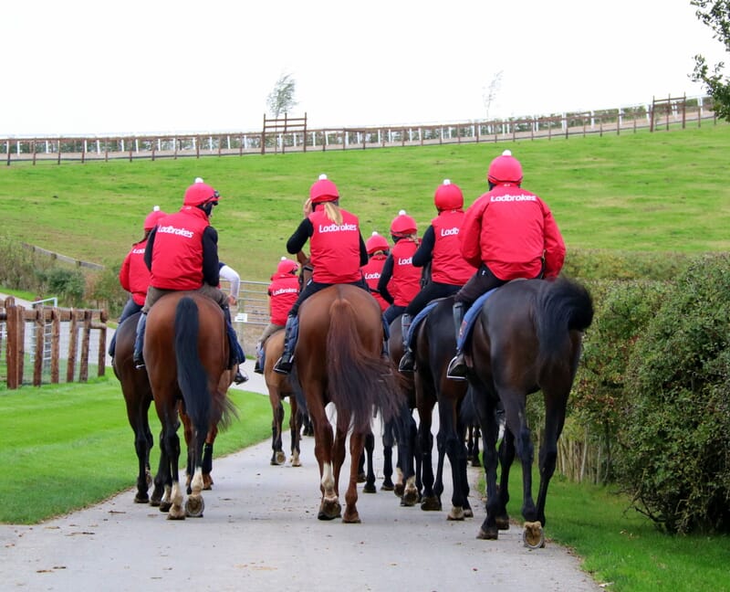Horse Racing: VIP Behind the Scenes Stables Experience | Gala Hospitality