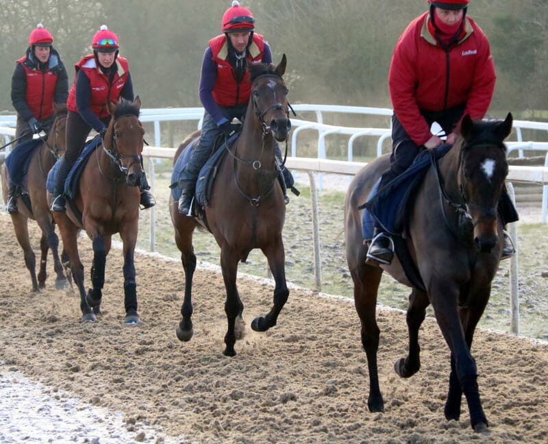 Horse Racing Vip Box Book a VIP Stables Experience - Horse Racing Hospitality 2025
