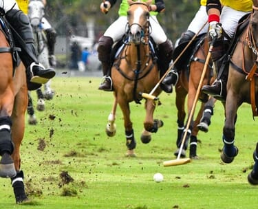 Polo: introduction to polo day with england’s lolly stanhope-white 9 CANVA polo 002 1.jpg?w=375&h=304&scale