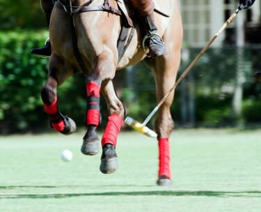 Polo: introduction to polo day with england’s lolly stanhope-white 8 CANVA polo 002 4.jpg?w=375&h=304&scale