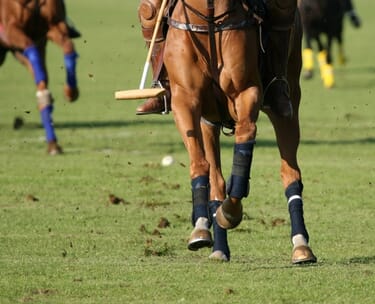 Polo: introduction to polo day with england’s lolly stanhope-white 10 CANVA polo 002 5.jpg?w=375&h=304&scale