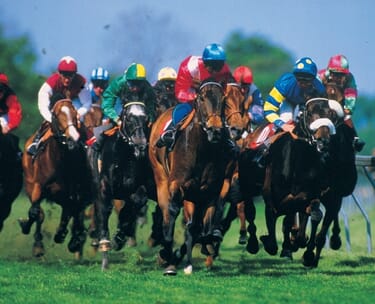 horse racing hospitality VIP package