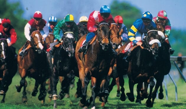 Newmarket racing music night hospitality 2026 20 horse racing hospitality VIP package