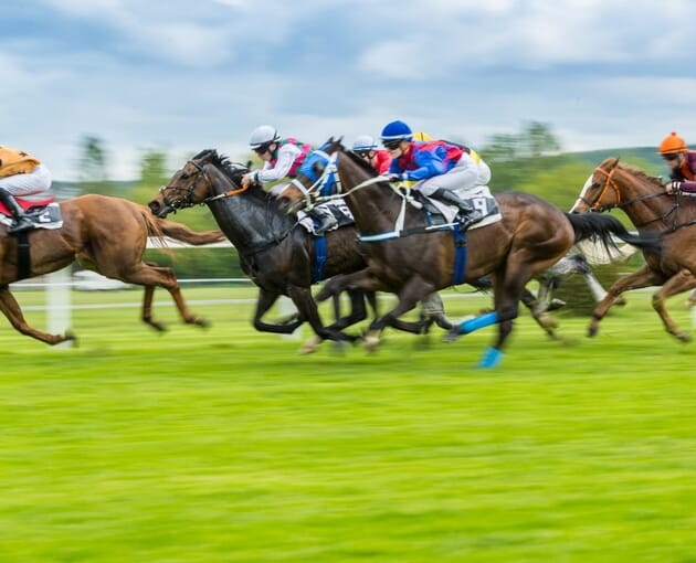 horse racing hospitality VIP package