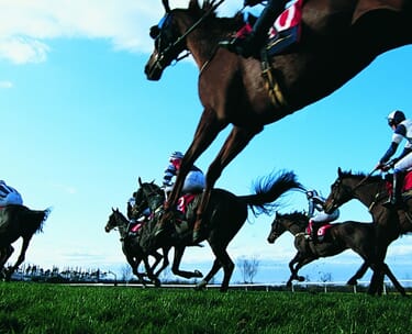 horse racing hospitality VIP package