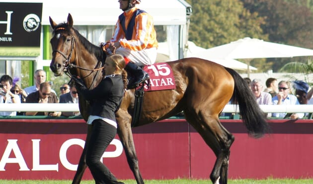 Prix de l'arc de triomphe hospitality 26 Prix de l'Arc de Triomphe Hospitality Horse Racing Race Course VIP Corporate Sports VIP Hospitality Qatar Prix De l’Arc De Triomphe Longchamp Racecourse hospitality