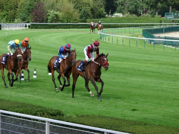 Prix de l'Arc de Triomphe Hospitality Horse Racing Race Course VIP Corporate Sports VIP Hospitality Qatar Prix De l’Arc De Triomphe Longchamp Racecourse hospitality