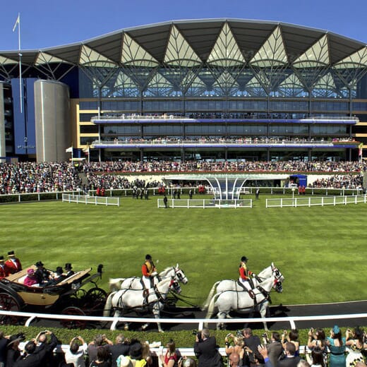 Royal Ascot Horse Racing Race Course Corporate Sports Hospitality