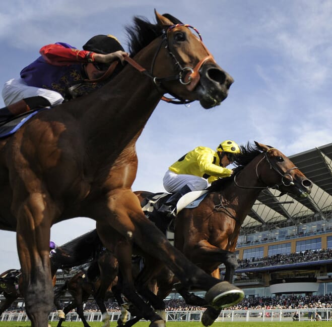 Royal Ascot Horse Racing Race Course Corporate Sports Hospitality