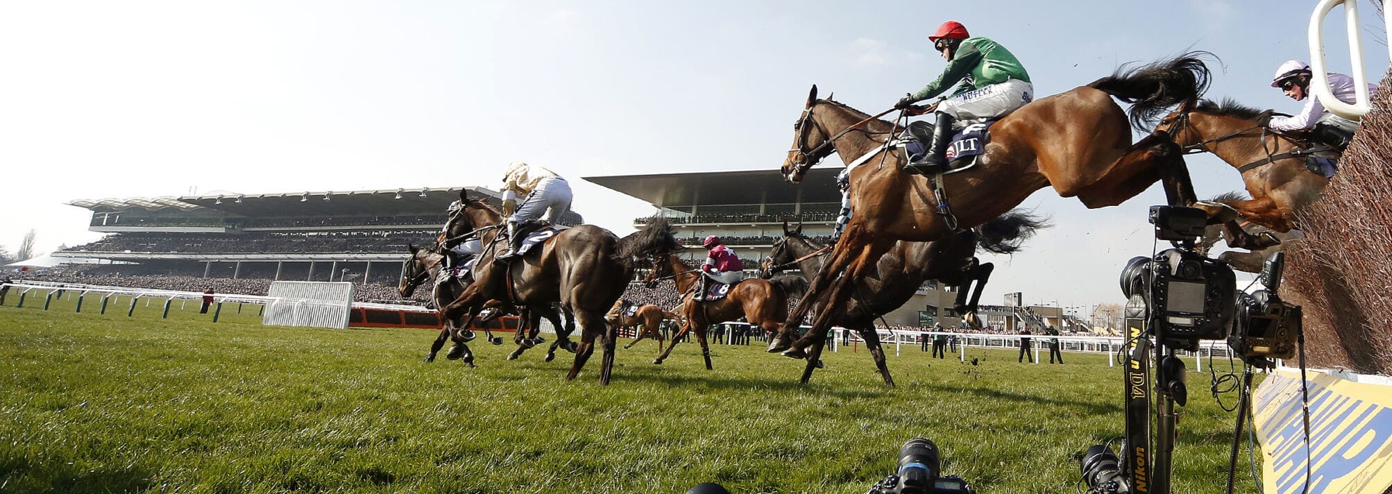 Cheltenham Gold Cup Horse Racing Race Course Corporate Sports Cheltenham Gold Cup Hospitality