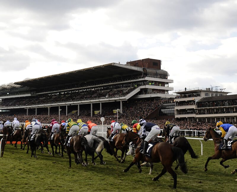 Cheltenham Gold Cup Horse Racing Race Course Corporate Sports Hospitality