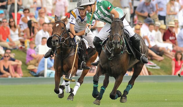 King Power Gold Cup Finals Polo Corporate Sports VIP Hospitality