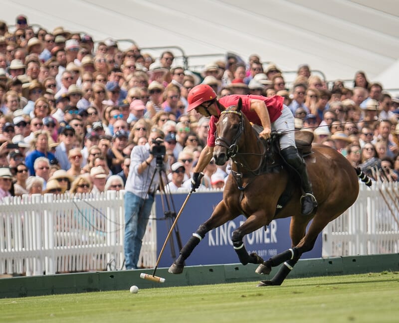 King power gold cup finals polo VIP Corporate Sports VIP Hospitality