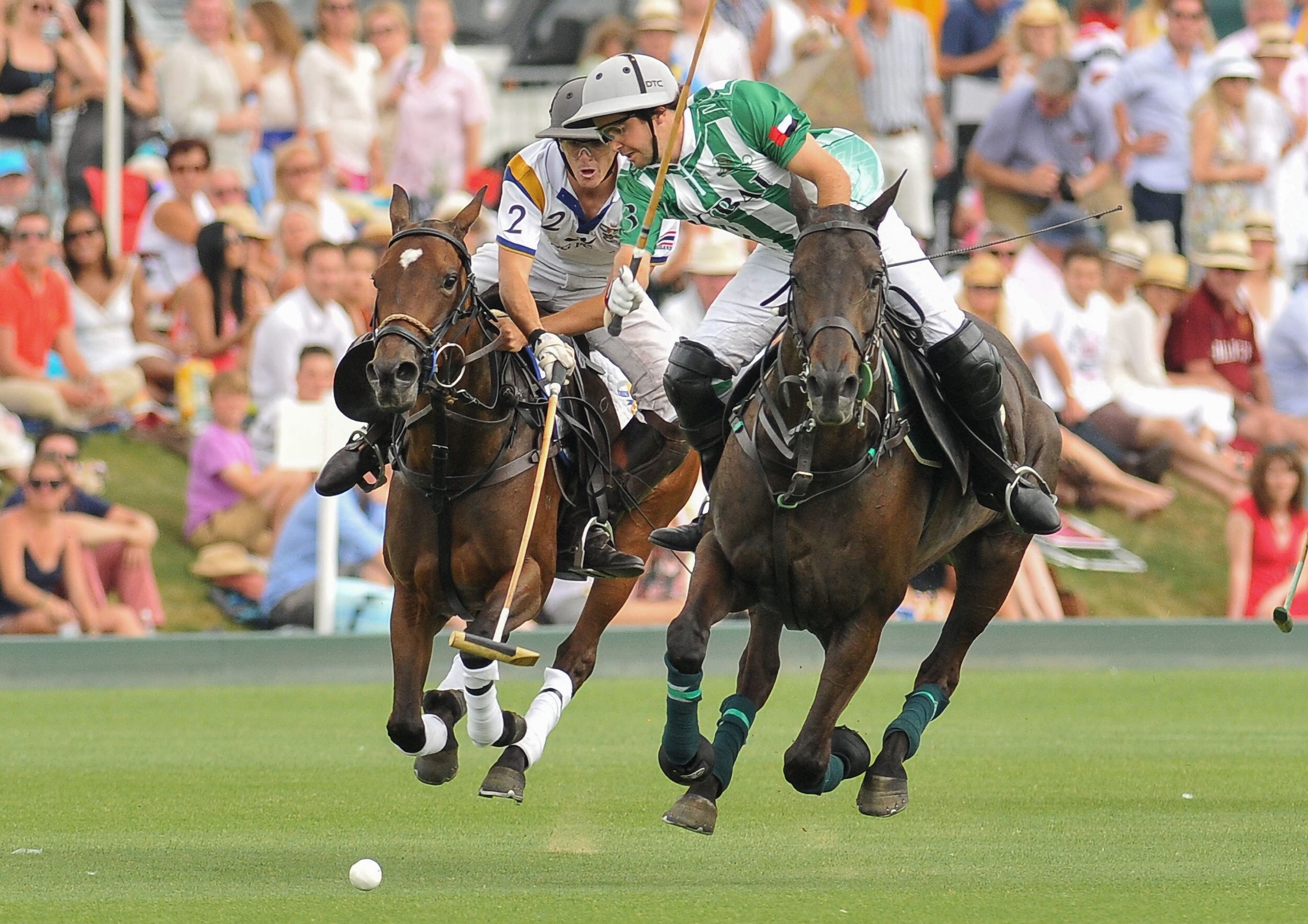 King power gold cup finals polo VIP Corporate Sports VIP Hospitality