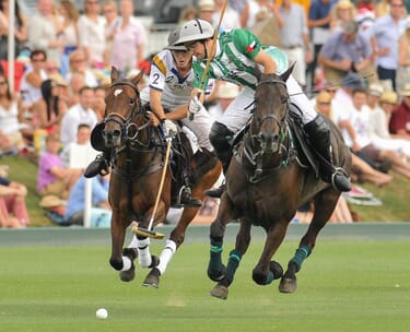 Cowdray park gold cup polo hospitality 6 King power gold cup finals polo VIP Corporate Sports VIP Hospitality